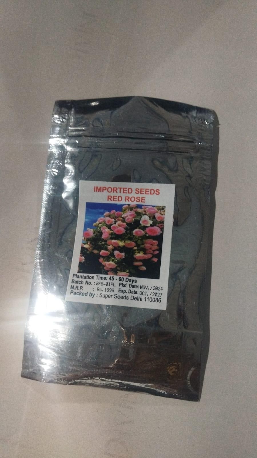 🌹 Elegant Climbing Rose Flower Seeds 🌿