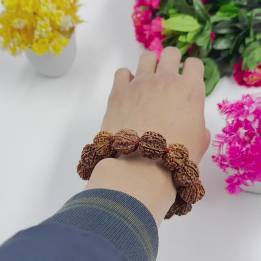 7 Mukhi Rudraksha Bracelet